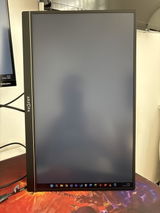Igor Fozyekosh review photo