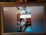Anonymous Customer review photo
