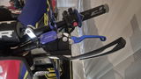 Damien Hasleby review photo