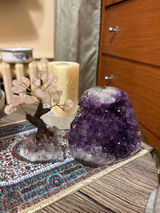 Liliya Yurovitskaya Customer review photo
