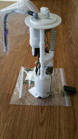 Alfredo Rosario review photo