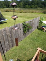 tgreentree review photo