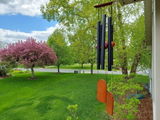 Judy Bessel review photo
