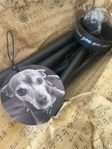 Jodi Vinas review photo