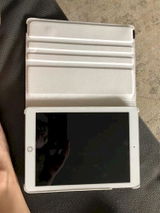 White Frances review photo