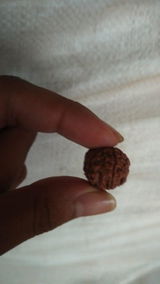 kritesh review photo