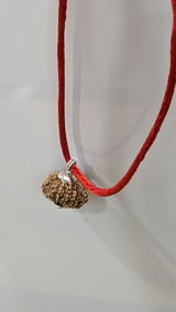 Suresh Gupta review photo
