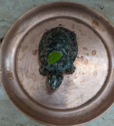 Timmanna Gudi review photo