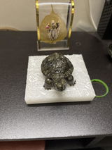 ypanchal review photo