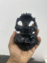 Ajjayagarwal review photo