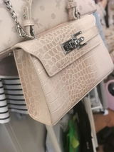 Cassiopeia L. review photo
