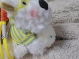 Dina R. review photo