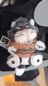 Sonja P. review photo