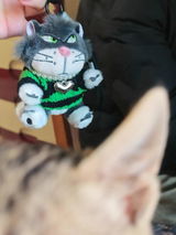 Brigitta F. review photo