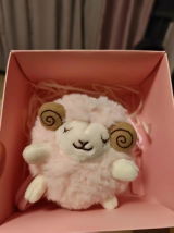 Nina review photo