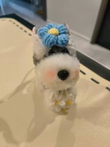 lucia review photo
