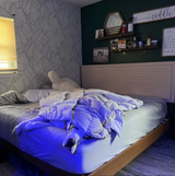 Dawn review photo