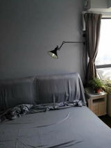 Ansell Pistorius review photo