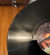 Matthew Capocci review photo