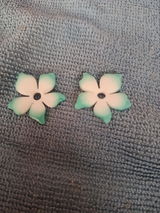 Veronique Trenas review photo