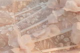 Amina_28 review photo