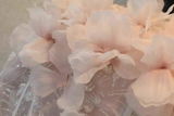 Amina_28 review photo