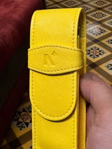 Ronak Bhagat review photo