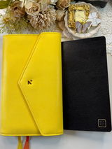 Nica review photo