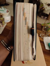 Mehar review photo