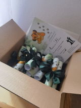 Ionela Anastasia review photo