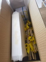 Daiana review photo