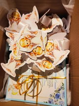 Ema Yosnov review photo