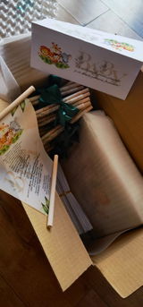 Popescu Amalia review photo