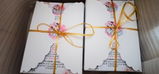AnaMaria Ionelascu review photo