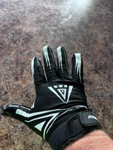 Gibbs review photo
