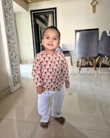 Aditya Nandedkar review photo