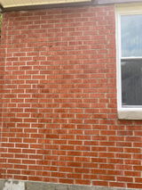 mstj review photo
