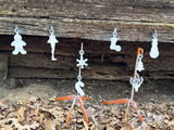 Robert Bradley review photo