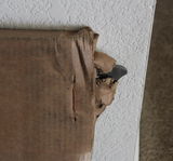 Jeffery Sealing review photo