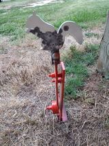 David Johnson review photo