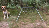 Satisfied Customer review photo
