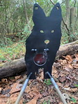 Bustin’ Yotes SC review photo