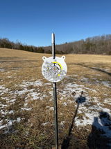 Bbibeau review photo