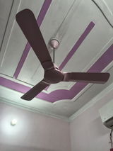 Amit Singh review photo