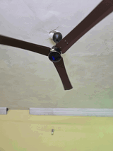 Abhishek Singh review photo