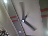 RAJESH SADASHIV BORDE review photo