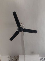 Madhuresh Maurya review photo