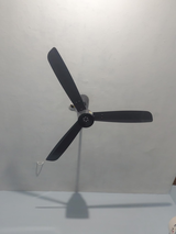 Fasil kv review photo