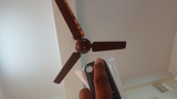 Roy review photo