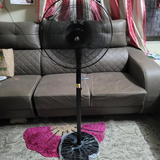 Shri review photo